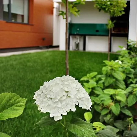 Aparthotel Uparthotel
