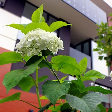 Uparthotel